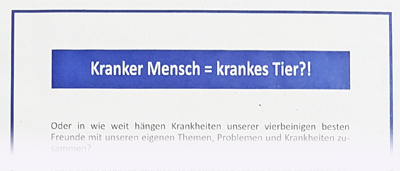 Veröffentlichung von Denise Keßler-Dier im Odenwälder Bote